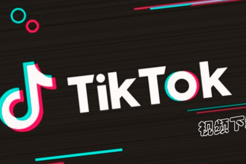 15个免费TikTok无水印下载网站